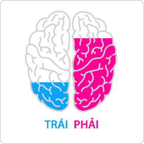 Thuận não trái hay phải?